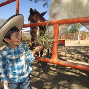 Meet your Posher, Mariza